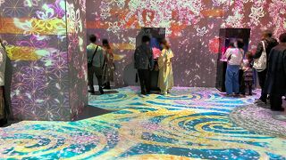 “春の風物詩”サクラアクアリウムとイルカたちの躍動を魅せるナイトパフォーマンスが凄い！ヽ(･ω･´*)ﾉ