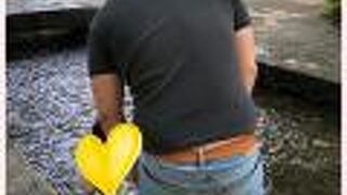 夏は水遊びが楽しい