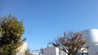 大人も十分楽しめます