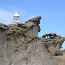 海岸線の岩は浸食されて様々な形状になっていました。