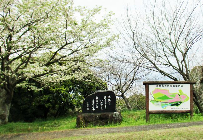 魚見岳自然公園