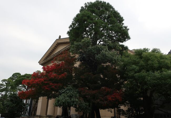 面影が残る町の象徴のような美術館