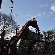横浜で１番昔からある小さな動物園