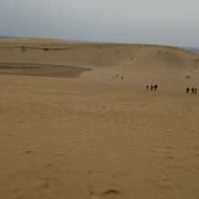 冬の砂丘は寒い。