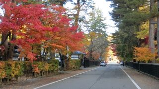 素晴らしい角館の紅葉