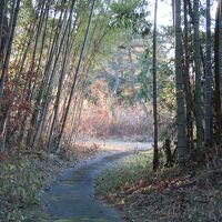 施設内にはこのような散歩道があります