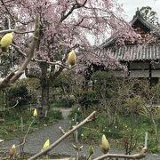 宇治川右岸に佇むどこか心が癒される静かな花の寺。