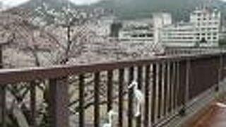 桜の季節もいい