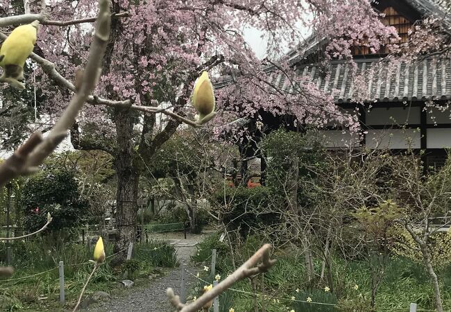 宇治川右岸に佇むどこか心が癒される静かな花の寺。