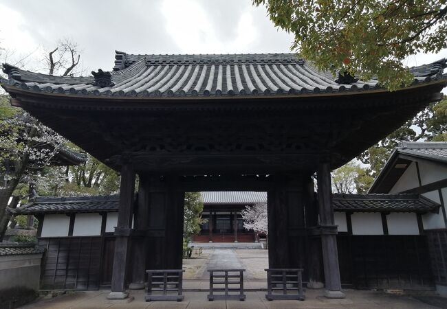 風格を感じるお寺