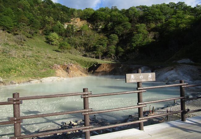 白濁した温泉が湧き出ています