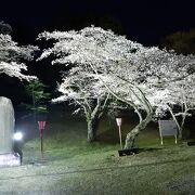 大田原神社のある高台の公園。桜の名所「龍城公園」と間違えないよう・・