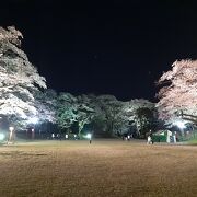 大田原城址の桜の名所