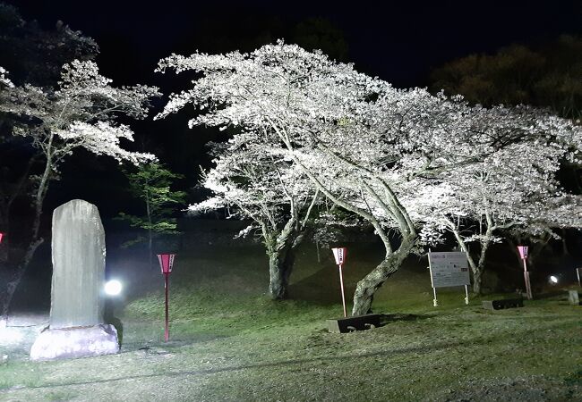 大田原神社のある高台の公園。桜の名所「龍城公園」と間違えないよう・・