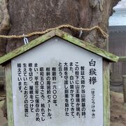 神秘的な雨の根香寺