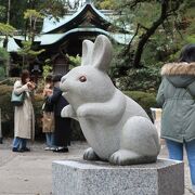 うさぎ年の参拝