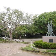 公園風景。