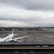 冬季は離発着よりは駐機されている飛行機をメインで見る感じ