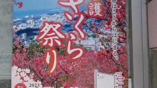 日本で一番早い「さくら祭り」