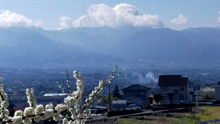 フル一ツラインからの富士山と桜