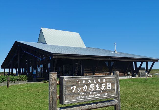 ワッカ原生花園