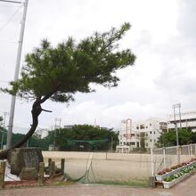 中学校のつぎにもきっとまたなにかができるのだろう。