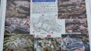 秀吉も1年あまり・・・