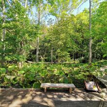 阿寒湖畔エコミュージアムセンター