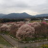 いなべ市農業公園(梅林公園)