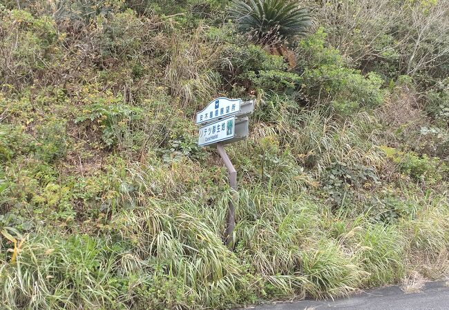 ソテツ・バショウ群生地 クチコミ・アクセス・営業時間|奄美 ソテツ・バショウ群生地 クチコミ・アクセス・営業時間|奄美