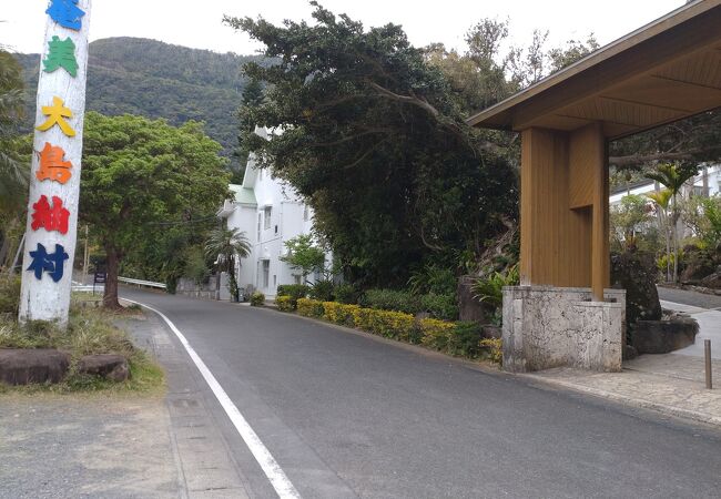 大島紬について知ることができます