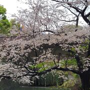 駅からみるきれいな景色