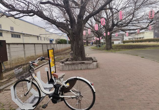 倉見桜緑道