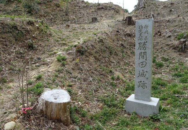 勝間田城跡