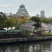 桜が綺麗だった