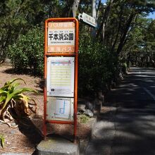 公園の脇にあるバス停。