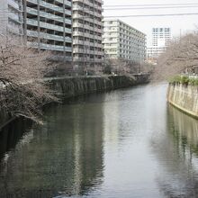 駅の西側は急坂があり桜で有名な目黒川は坂の下にあります