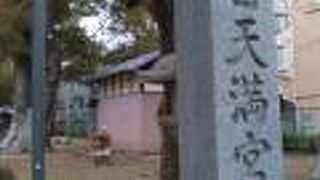 楠に風格を感じました