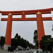 平安神宮の桜