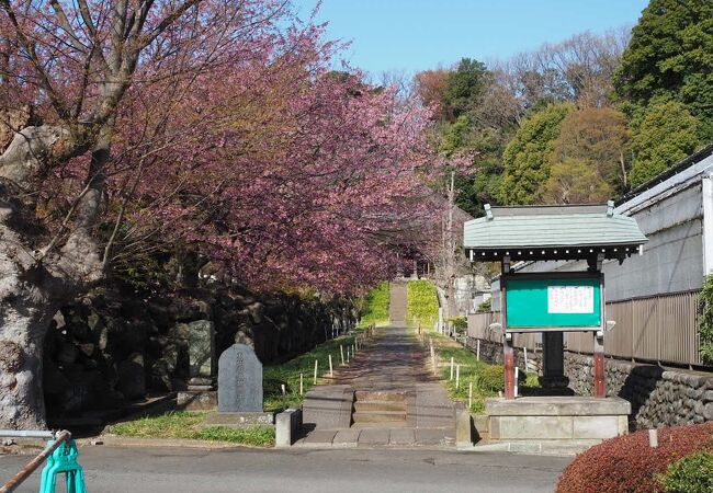 花の寺として知られる。