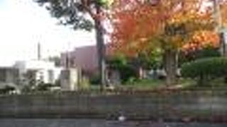 市民会館とくっついてる