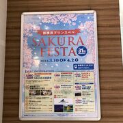 SAKURA FESTA