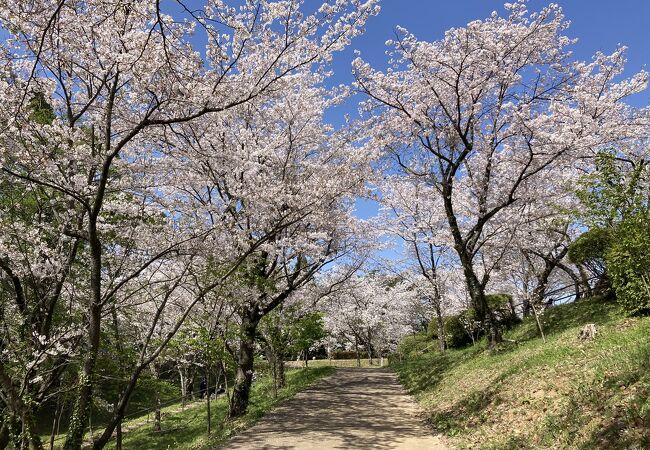 田代公園