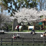 河川運河造りの神様！