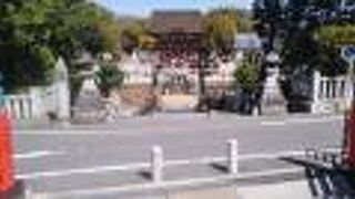 春のお出かけにいいです