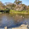 水前寺江津湖公園