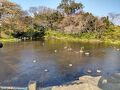 水前寺江津湖公園