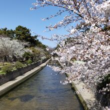 夙川公園 