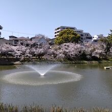 夙川公園 