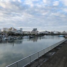 しながわ花海道